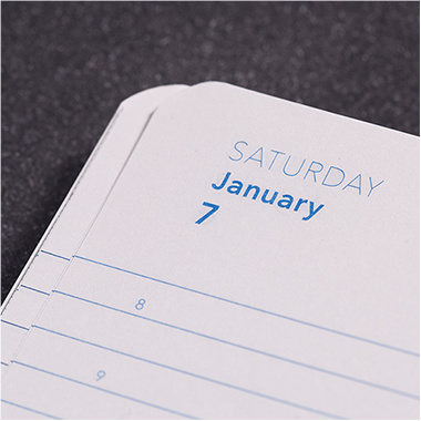 Diary Pages