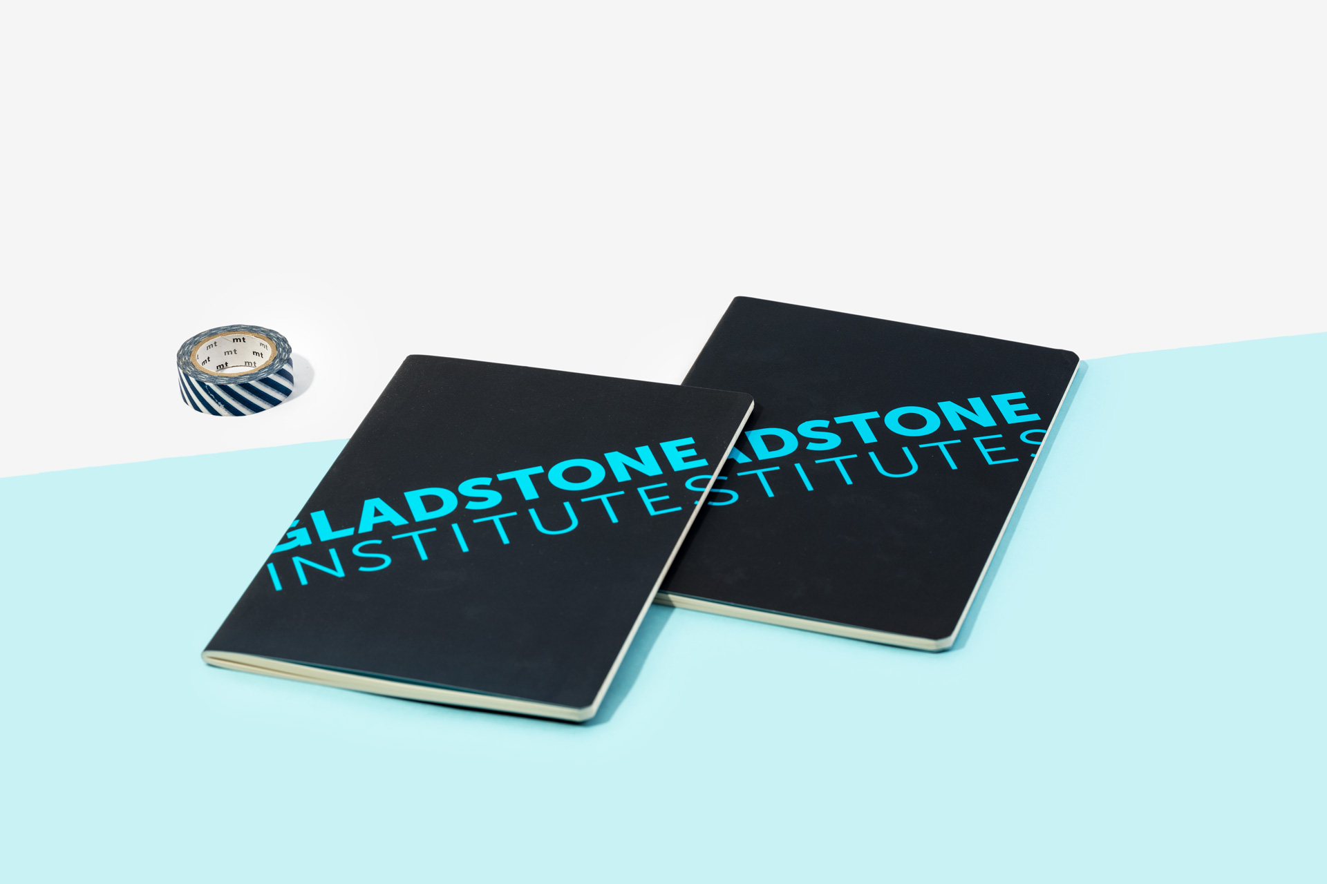 Gladstone Institute