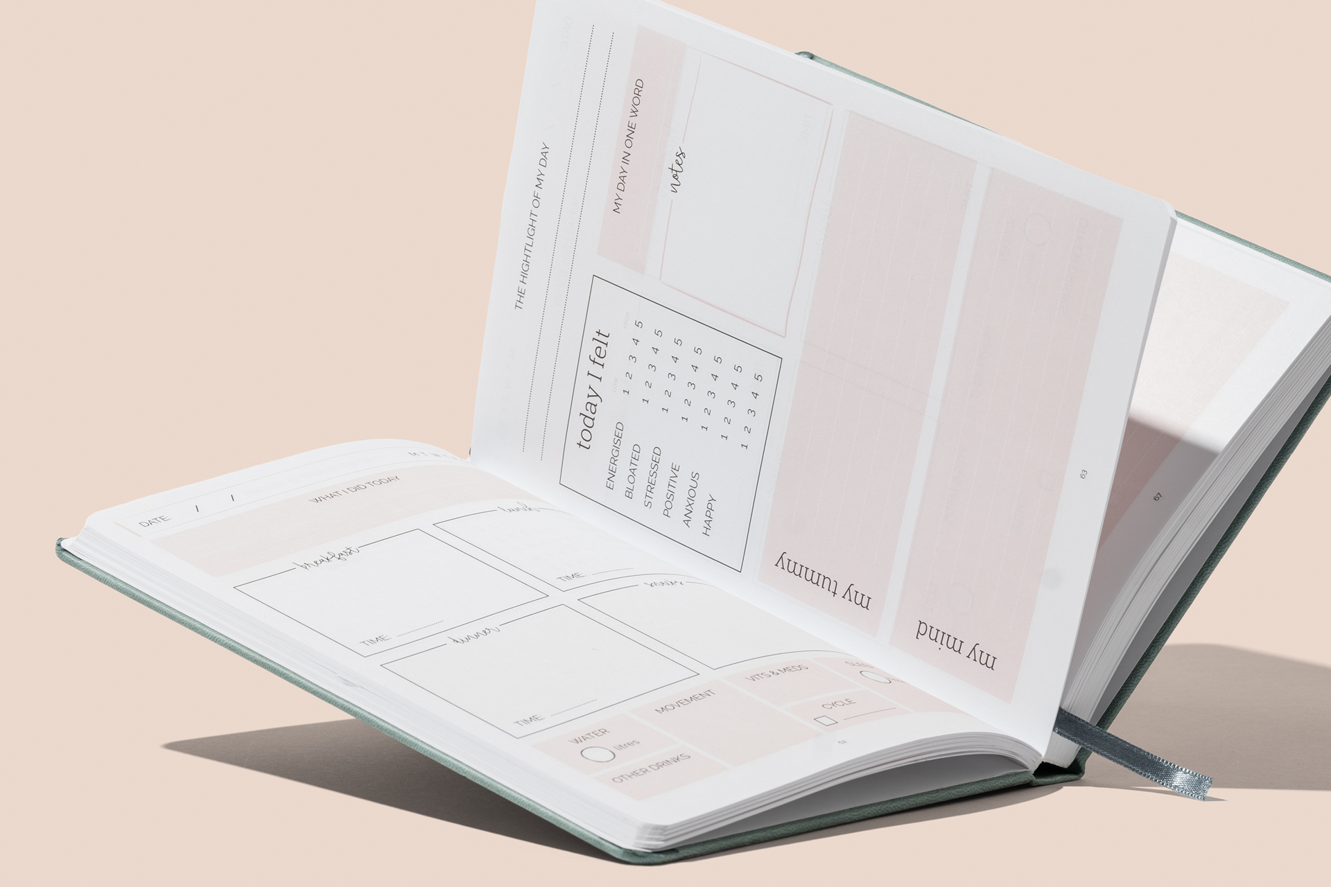 Bespoke Gut Health Diary for Retail