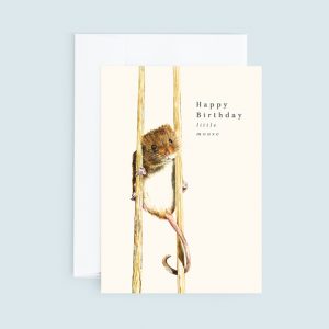 Customisable Birthday greeting card with a little mouse.