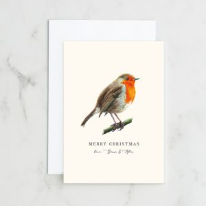 Customisable Christmas greeting card with a red Robin on a branch.
