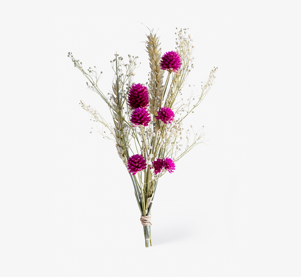 Pink Clover Dried Flower Arrangement by Bookblock FloristsFlowers| Bookblock