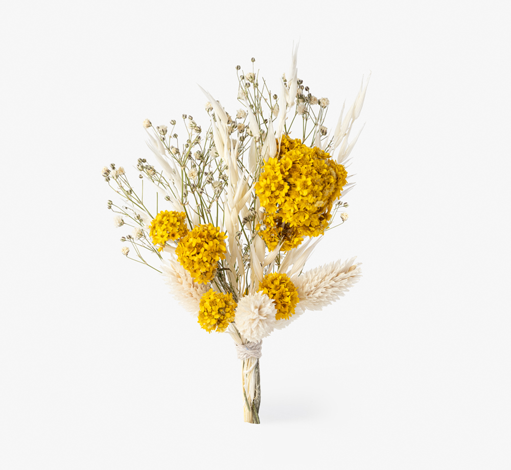 Sanfordi Dried Flower Arrangement by Bookblock FloristsHome| Bookblock Sanfordi Dried Flower Arrangement by Bookblock FloristsHome| Bookblock