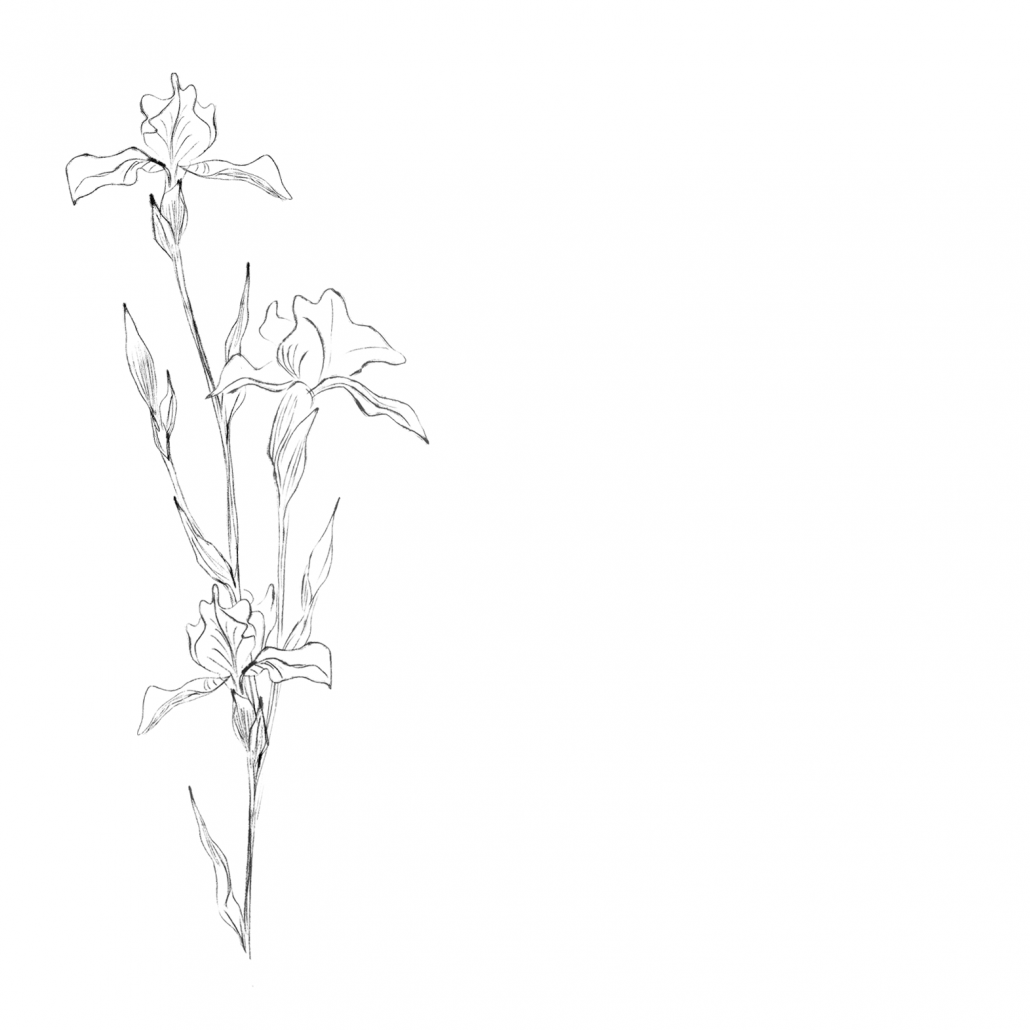 Monochrome Irises