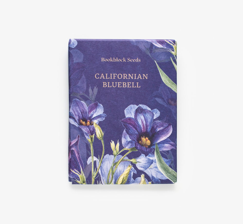Californian Bluebell Seeds by Bookblock SeedsCorporate Gifts| Bookblock
