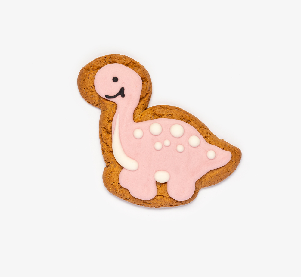 Dinosaur Sarah Biscuit by Original Biscuit BakersCorporate Gifts| Bookblock