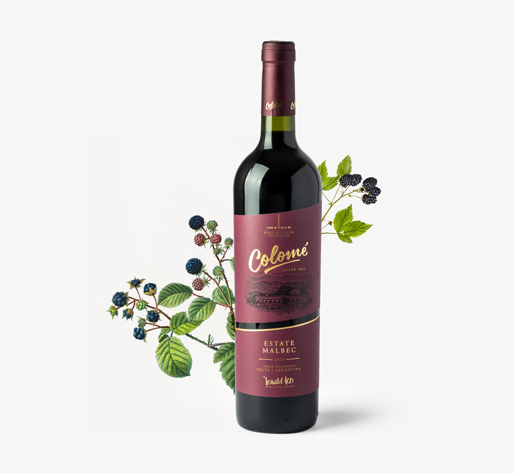 Malbec 2019 75cl by Bodega ColoméCorporate Gifts| Bookblock