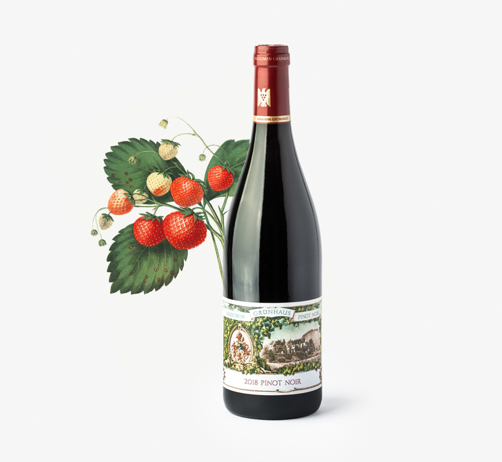 Single Vineyard, Mosel Pinot Noir 2018 75cl by Maximin GrünhausCorporate Gifts| Bookblock