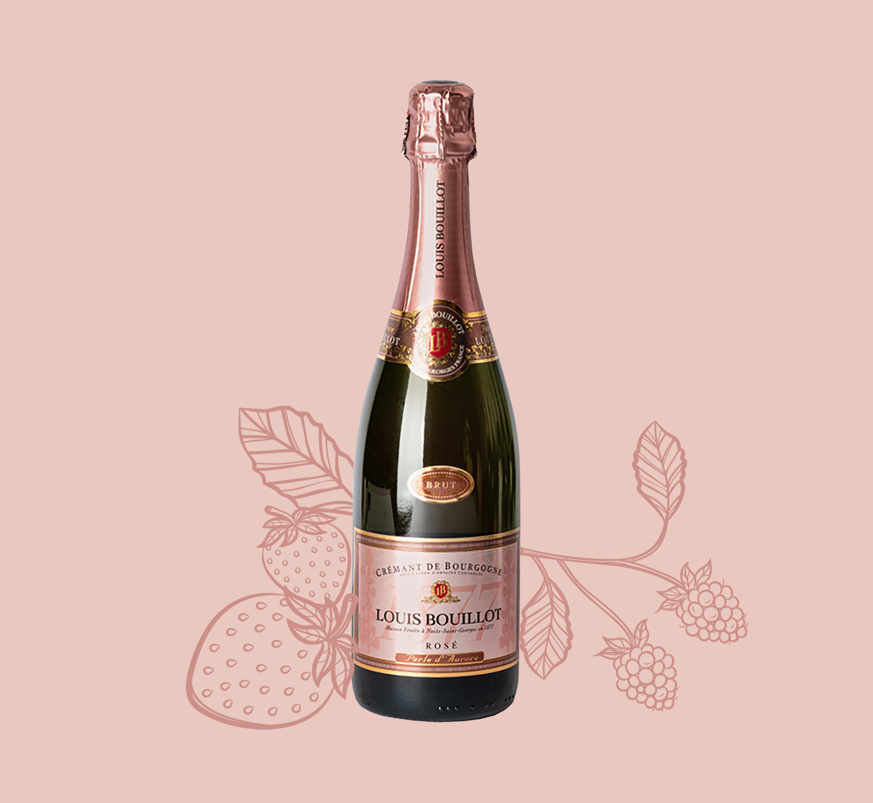 Crémant de Bourgogne Brut Sparkling Rosé with pink background and darker pink illustrated strawberries and rasberries