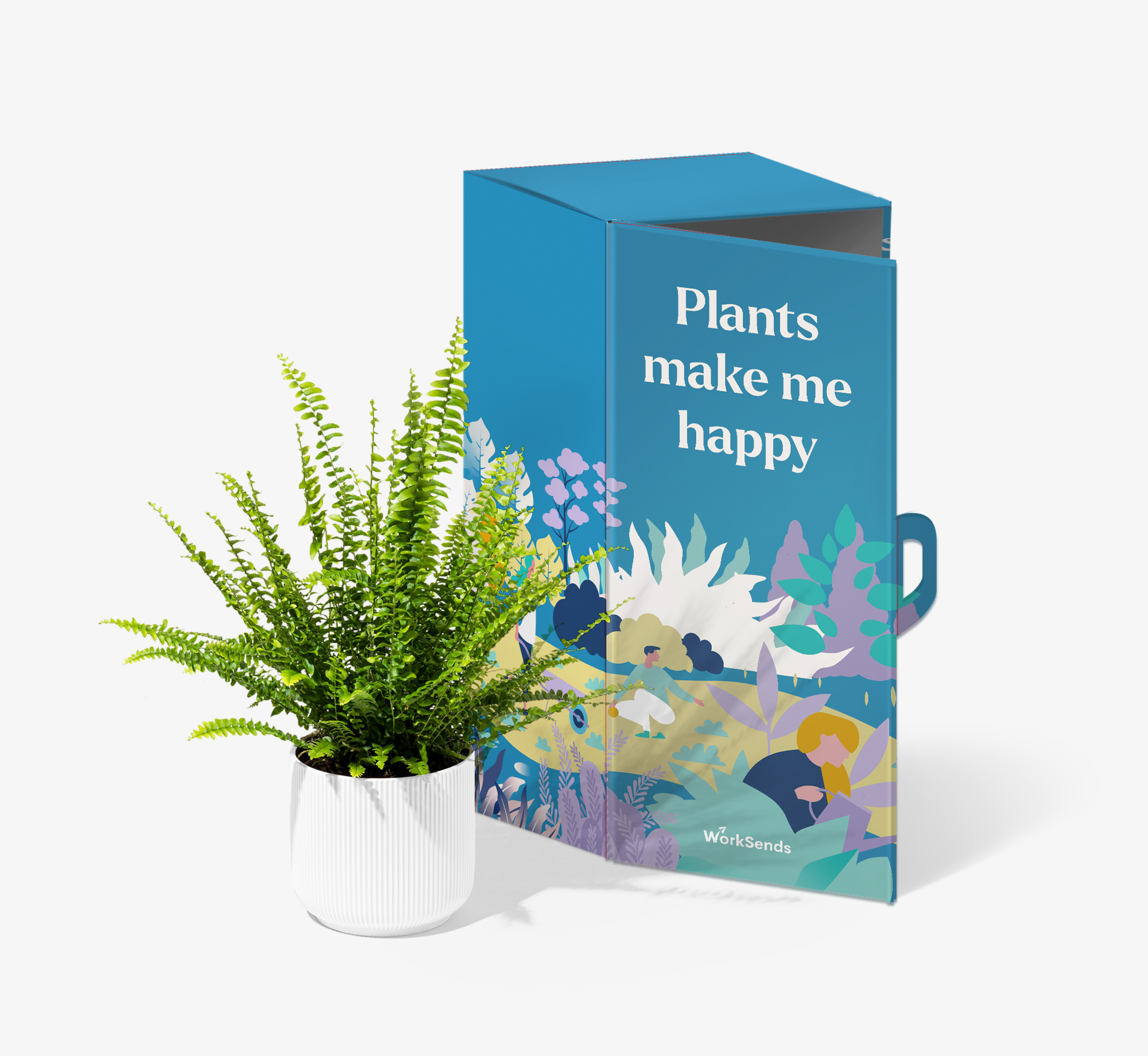 Boston Fern Plant by Order – April 24, 2022 @ 09:38 PMCorporate Gifts| Bookblock