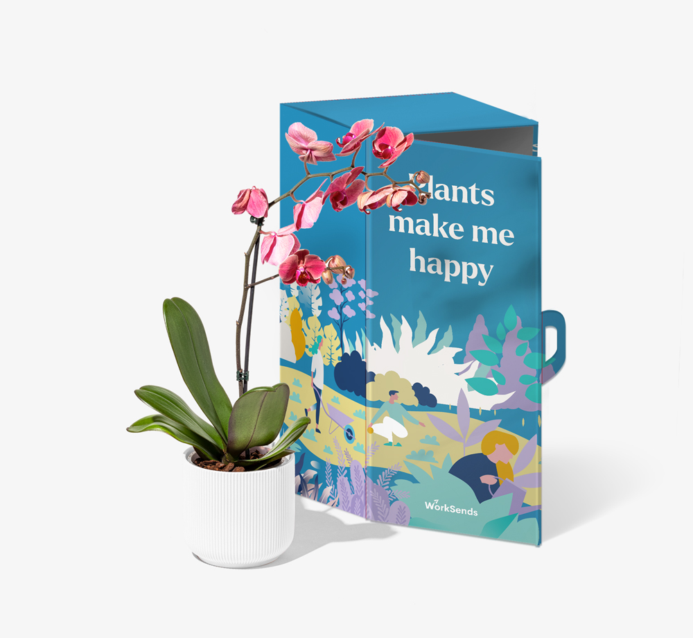 Phalenopsis Orchid by Order – April 24, 2022 @ 09:38 PMCorporate Gifts| Bookblock